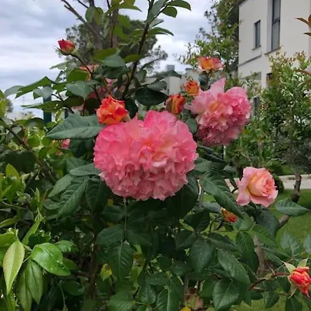 Villa Perla